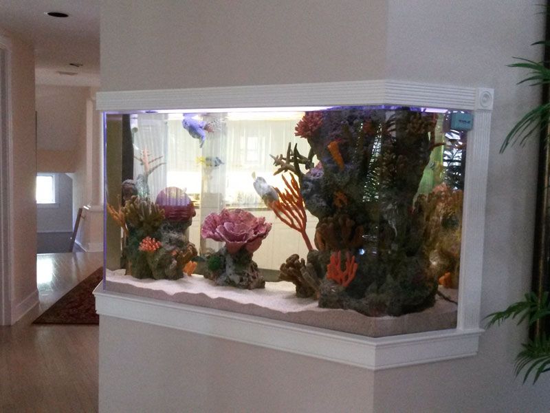 Custom Aquarium Services